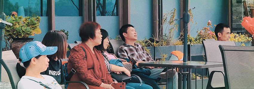 赏山悦水·拥抱自然——彩神(中国)2020金秋阳朔之旅